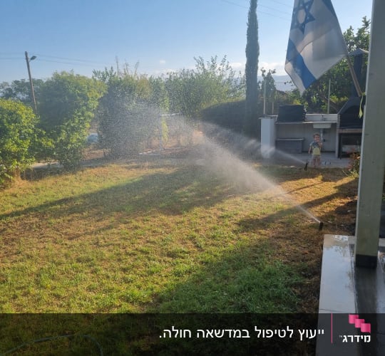 השקיית גינה עם דשא ירוק ודגל ישראל ברקע